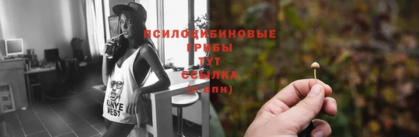 мескалин Нязепетровск