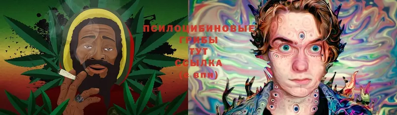 OMG онион  Усть-Лабинск  Псилоцибиновые грибы MAGIC MUSHROOMS 