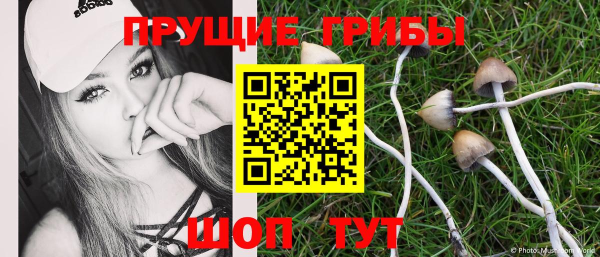 Псилоцибиновые грибы GOLDEN TEACHER Усть-Лабинск